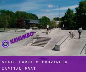 Skate Parki w Provincia Capitán Prat