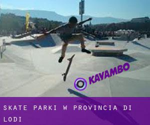 Skate Parki w Provincia di Lodi