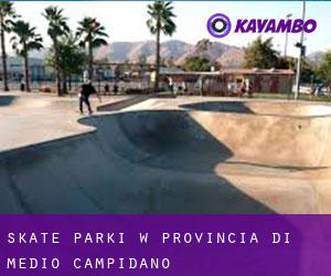 Skate Parki w Provincia di Medio Campidano