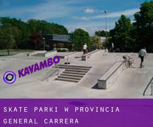 Skate Parki w Provincia General Carrera