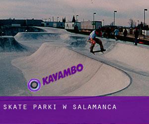 Skate Parki w Salamanca