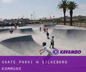 Skate Parki w Silkeborg Kommune