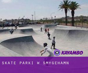 Skate Parki w Smygehamn