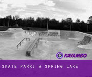 Skate Parki w Spring Lake