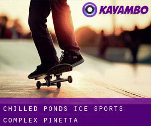 Chilled Ponds Ice Sports Complex (Pinetta)
