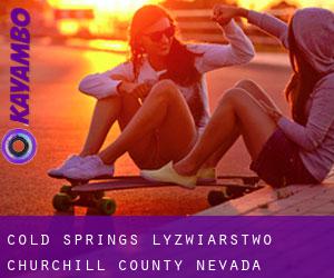 Cold Springs łyżwiarstwo (Churchill County, Nevada)