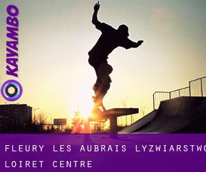 Fleury-les-Aubrais łyżwiarstwo (Loiret, Centre)