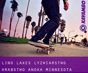 Lino Lakes łyżwiarstwo (Hrabstwo Anoka, Minnesota)