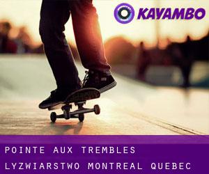 Pointe-aux-Trembles łyżwiarstwo (Montréal, Quebec)