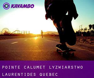 Pointe-Calumet łyżwiarstwo (Laurentides, Quebec)