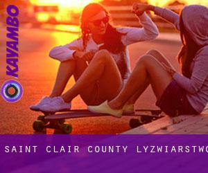 Saint Clair County łyżwiarstwo