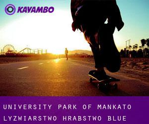 University Park of Mankato łyżwiarstwo (Hrabstwo Blue Earth, Minnesota)
